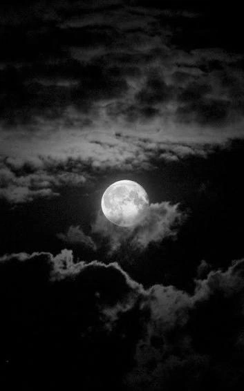 Moon PFP