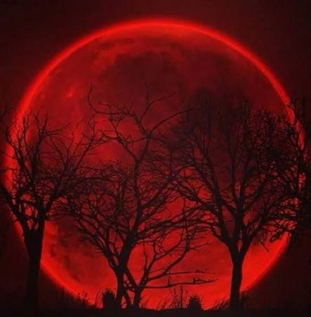 Moon PFP