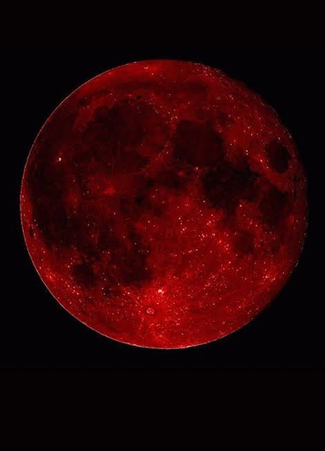 Moon PFP