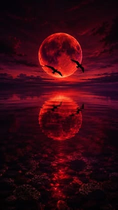 Moon PFP