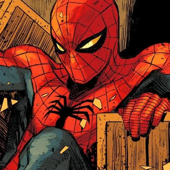Spider Man PFP
