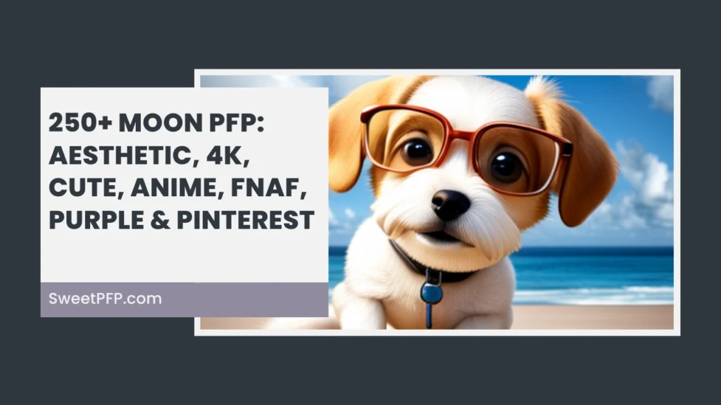 Dog PFP