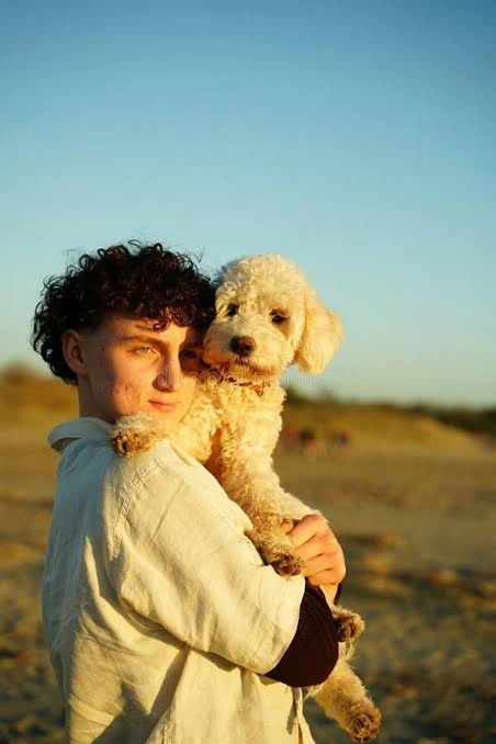 Dog PFP