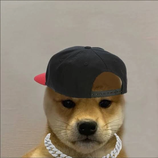 Dog PFP
