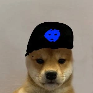 Dog PFP