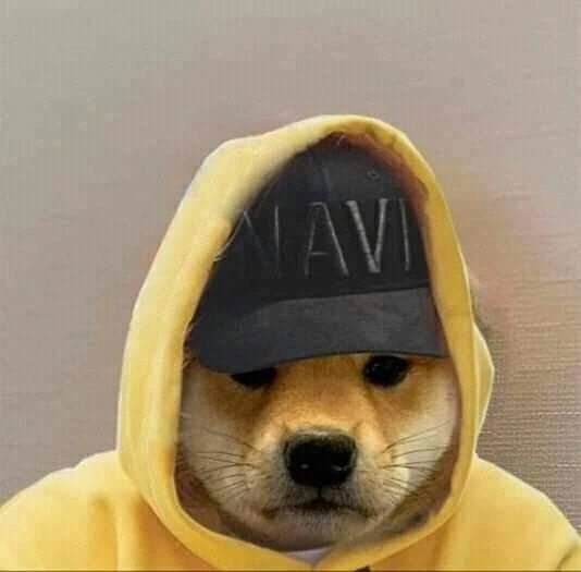 Dog PFP