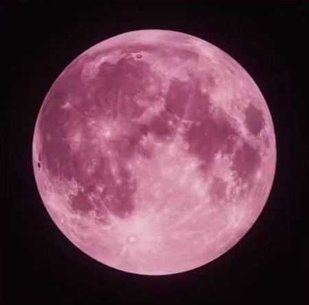 Moon PFP