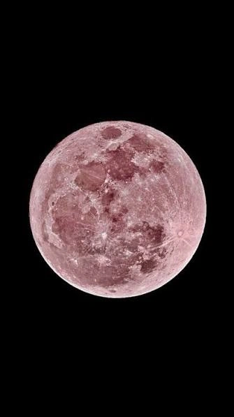 Moon PFP