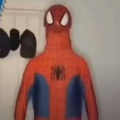 Spider Man PFP