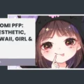 Kuromi PFP