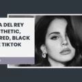 Lana Del Rey PFP