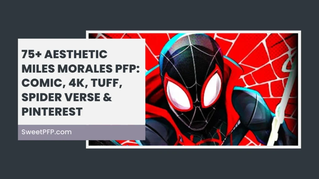 Miles Morales PFP