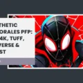 Miles Morales PFP