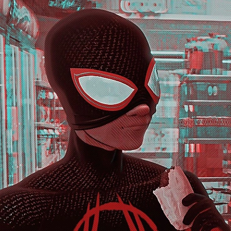 Miles Morales PFP