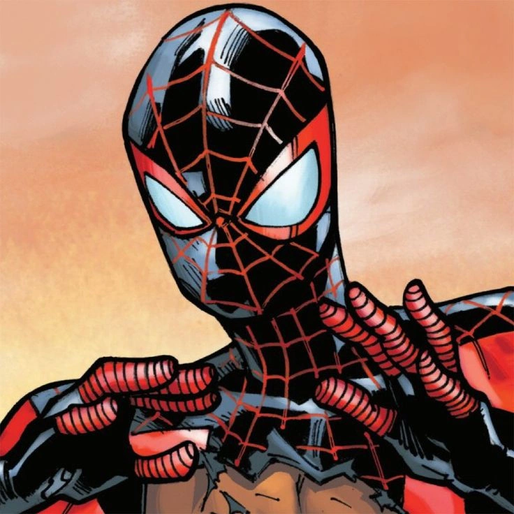 Miles Morales PFP