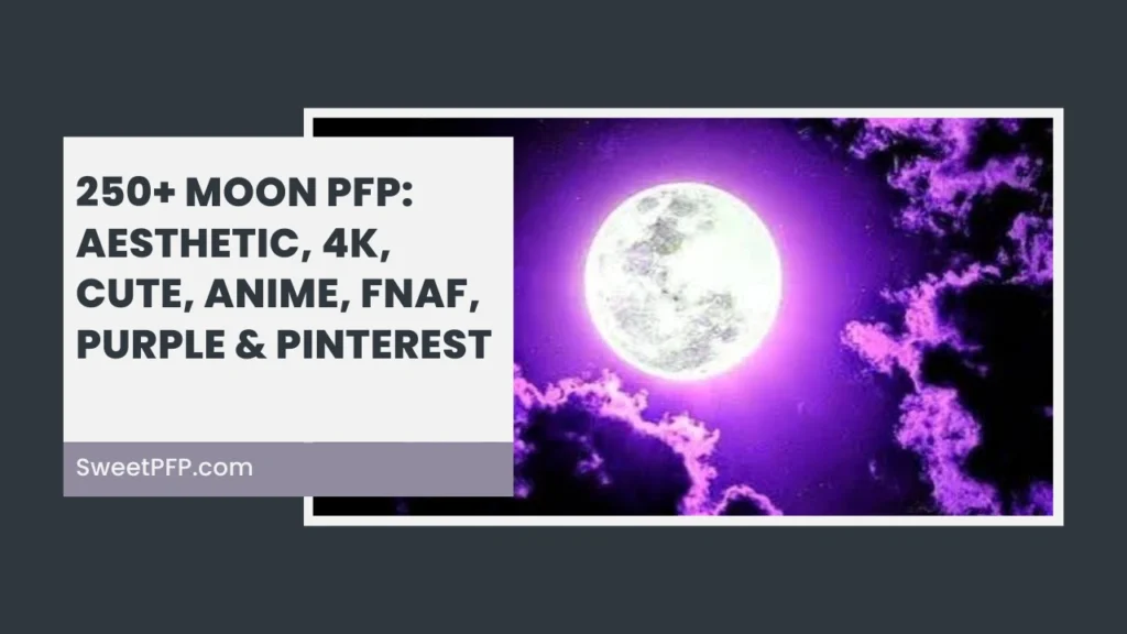 Moon PFP