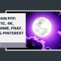 Moon PFP