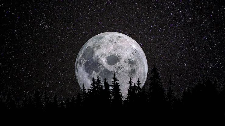 Moon PFP