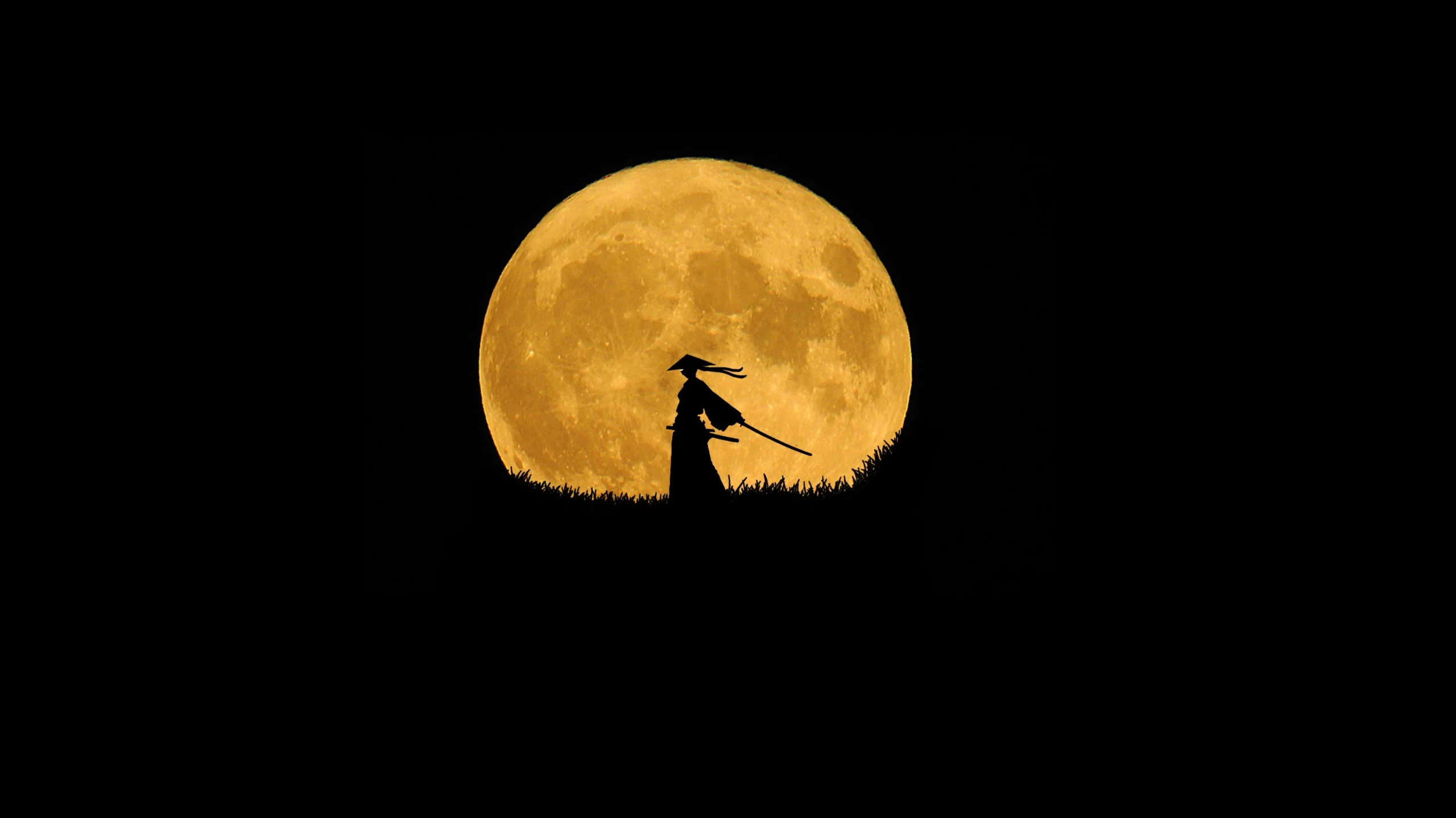 Moon PFP