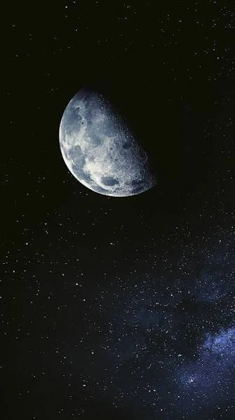 Moon PFP