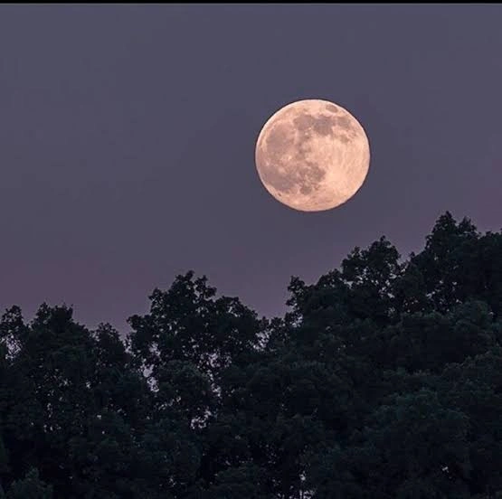 Moon PFP