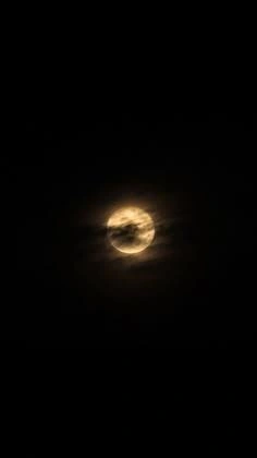 Moon PFP