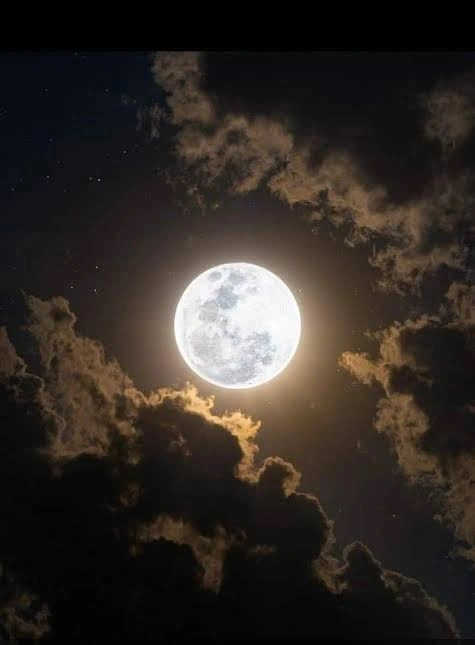 Moon PFP