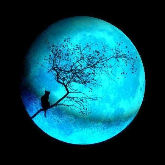 Moon PFP