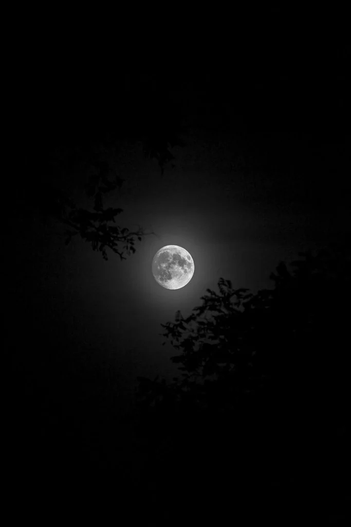 Moon PFP