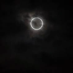 Moon PFP