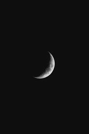Moon PFP