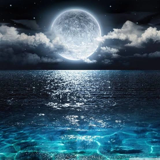 Moon PFP