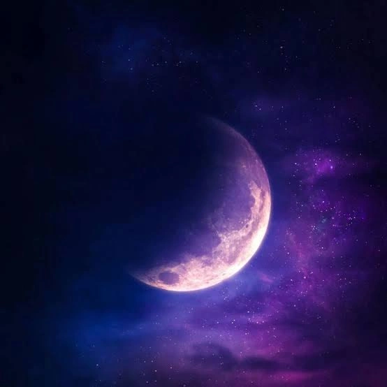 Moon PFP