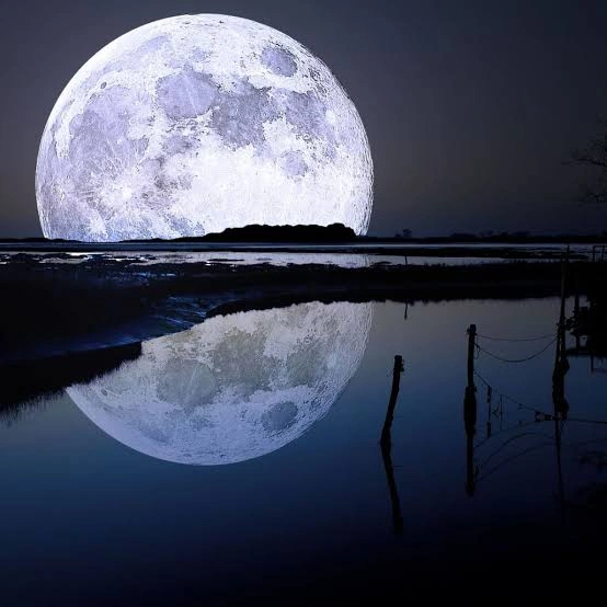 Moon PFP