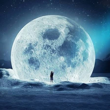 Moon PFP