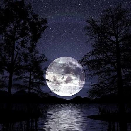 Moon PFP