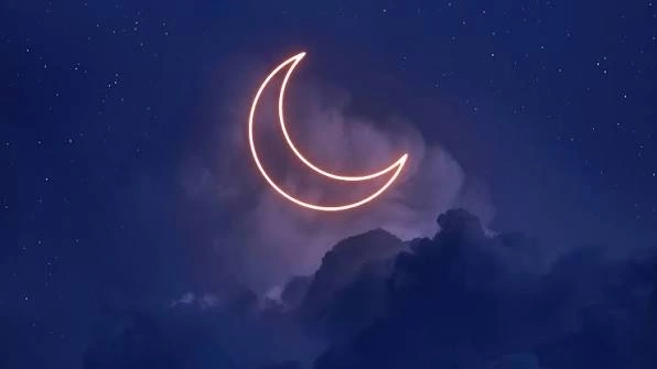 Moon PFP
