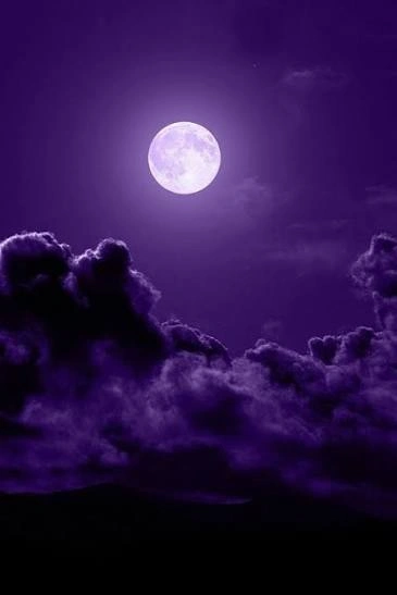 Moon PFP