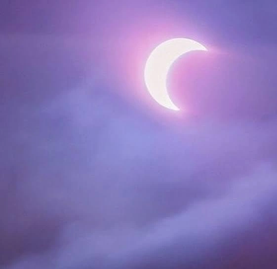 Moon PFP