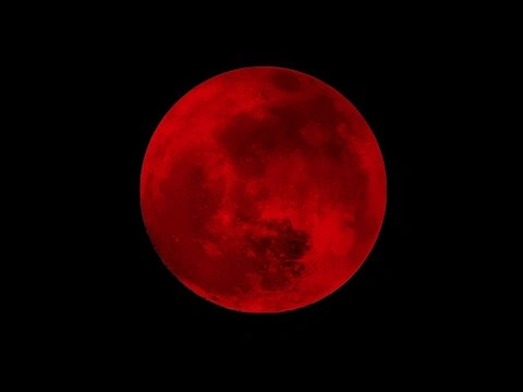 Moon PFP