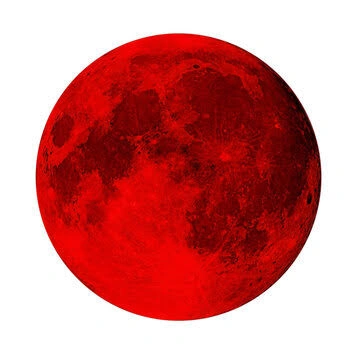 Moon PFP