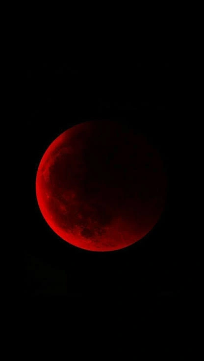 Moon PFP