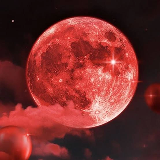 Moon PFP