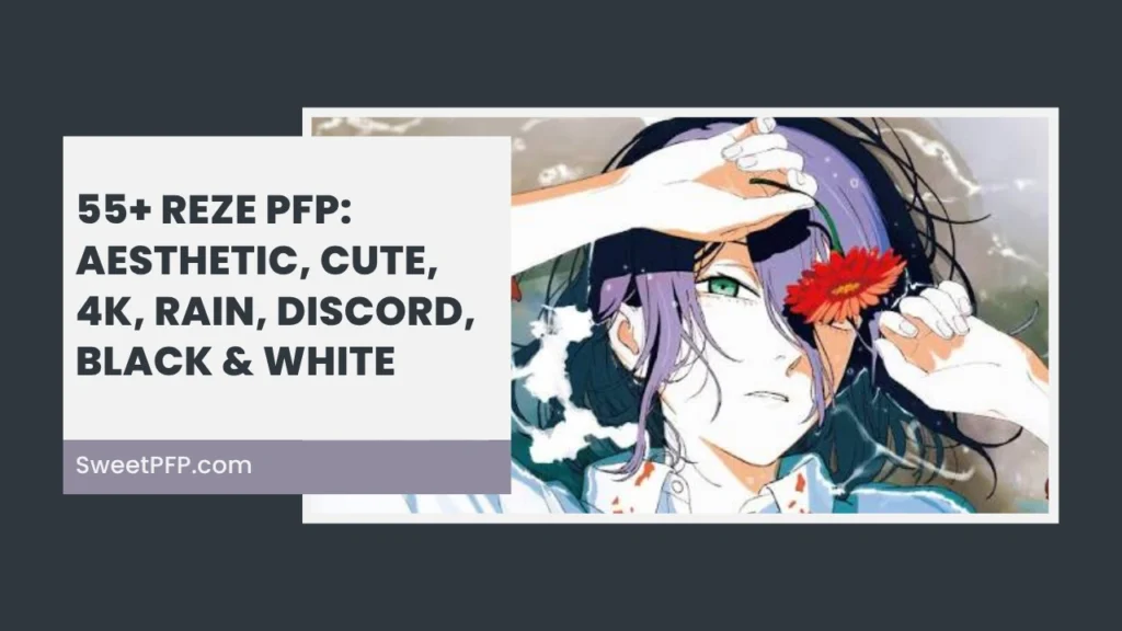 Reze PFP