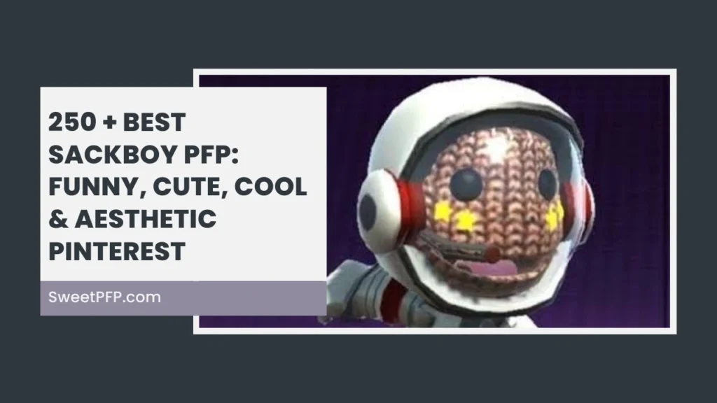 Sackboy PFP