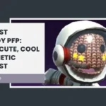 Sackboy PFP