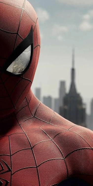 Spider Man PFP
