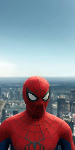 Spider Man PFP