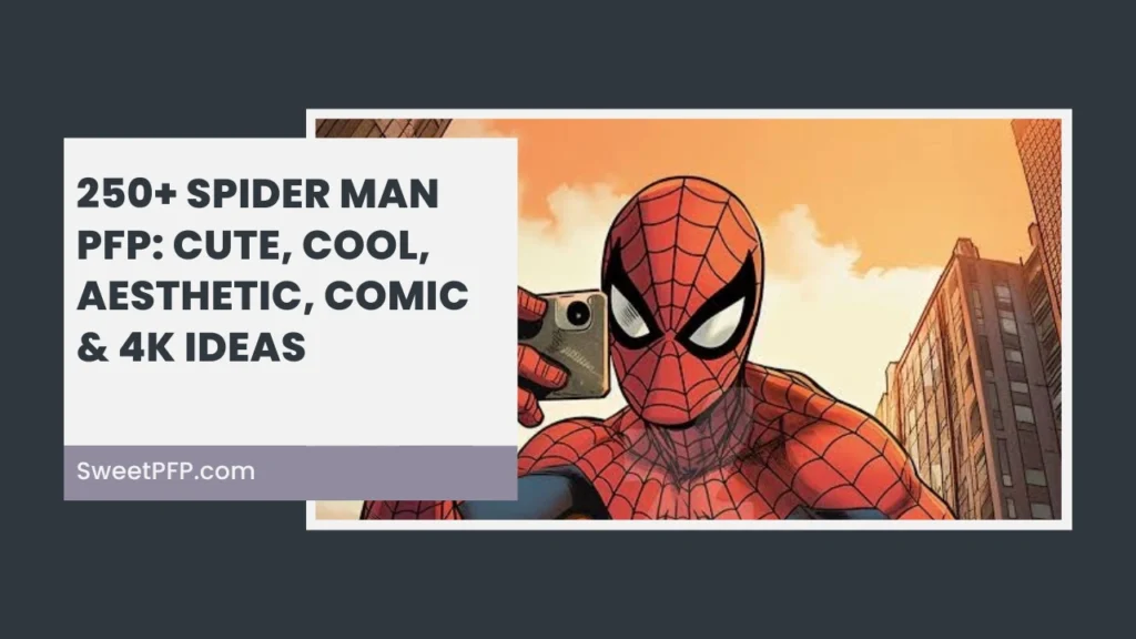 Spider Man PFP