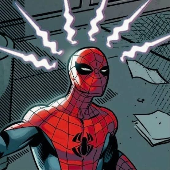 Spider Man PFP